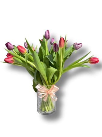 Dual Tone Tulips