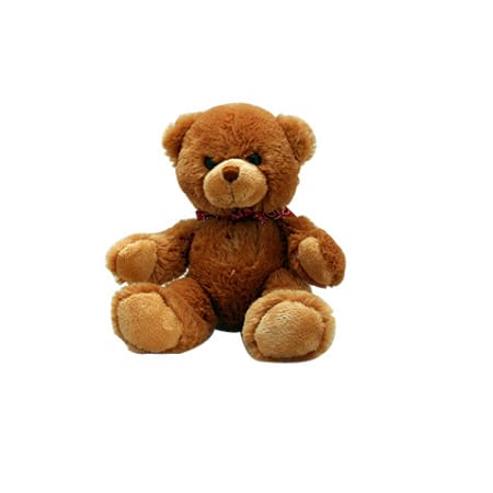 Small Teddy