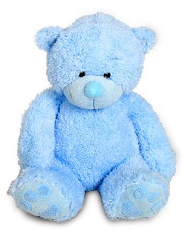 Blue Teddy