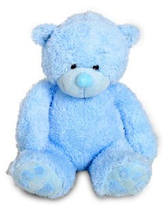 Blue Teddy